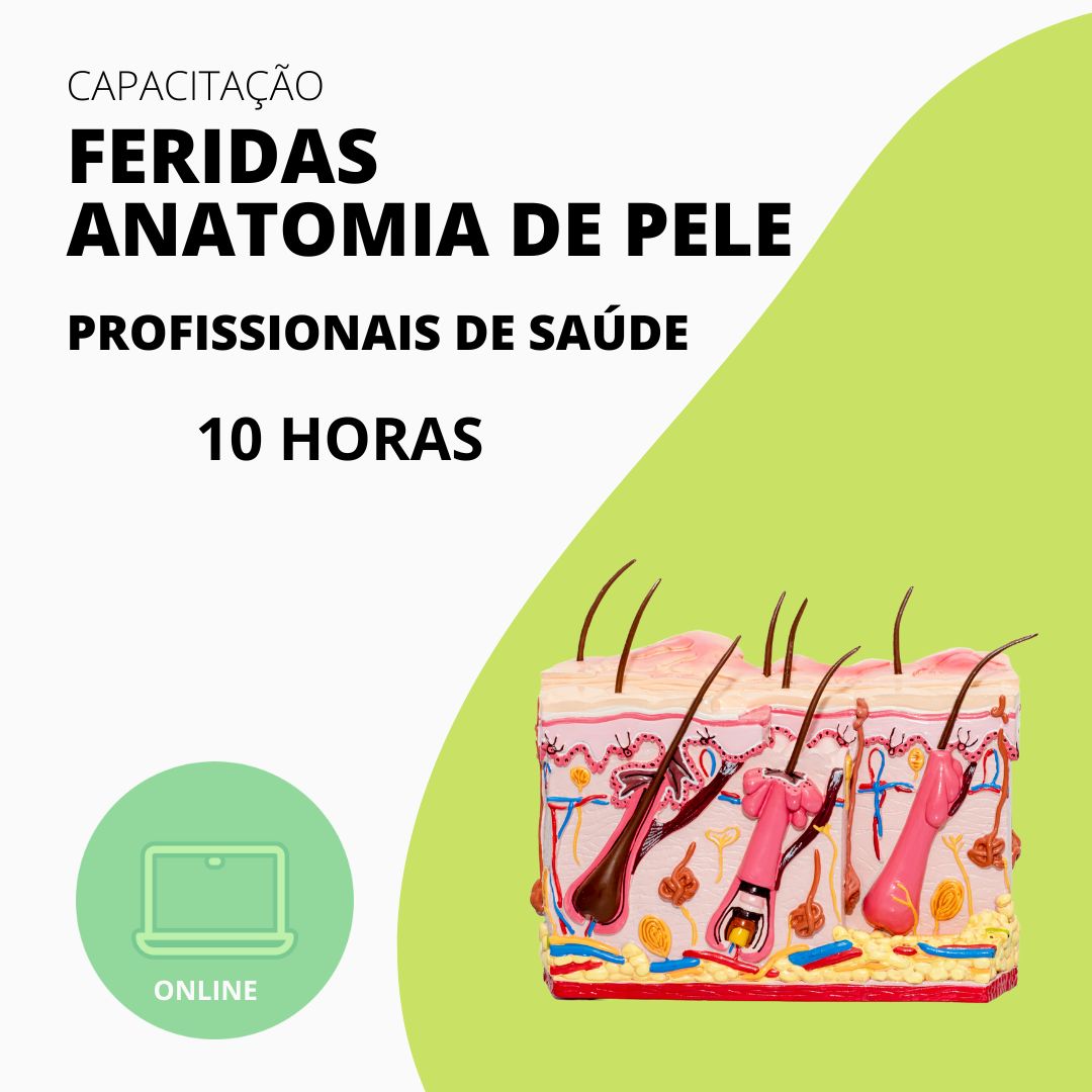 FERIDAS  ANATOMIA DE PELE